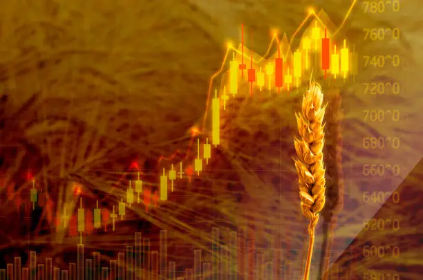 Brazilian Agrochemical Producers Watch Braskem's New Ownership for Feedstock Pricing Signals