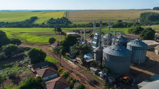 Braskem's $12.7 Billion Revenue Scale Underscores Its Agricultural Feedstock Supply Chain Importance