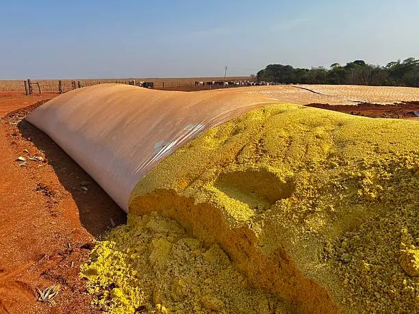 Woodside's Blue Ammonia Review Carries Direct Relevance to Fertilizer Feedstock Planning