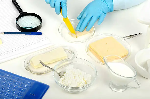 Masking Agents for Bitter Notes in Sugar-Reduced and Protein-Fortified Products