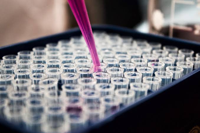 India Emerges as a Growing Hub for Specialty Chemical Re-Exports to Western Markets