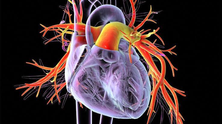 A Pulmonary Hypertension Drug's Label Just Got a Major Data Upgrade