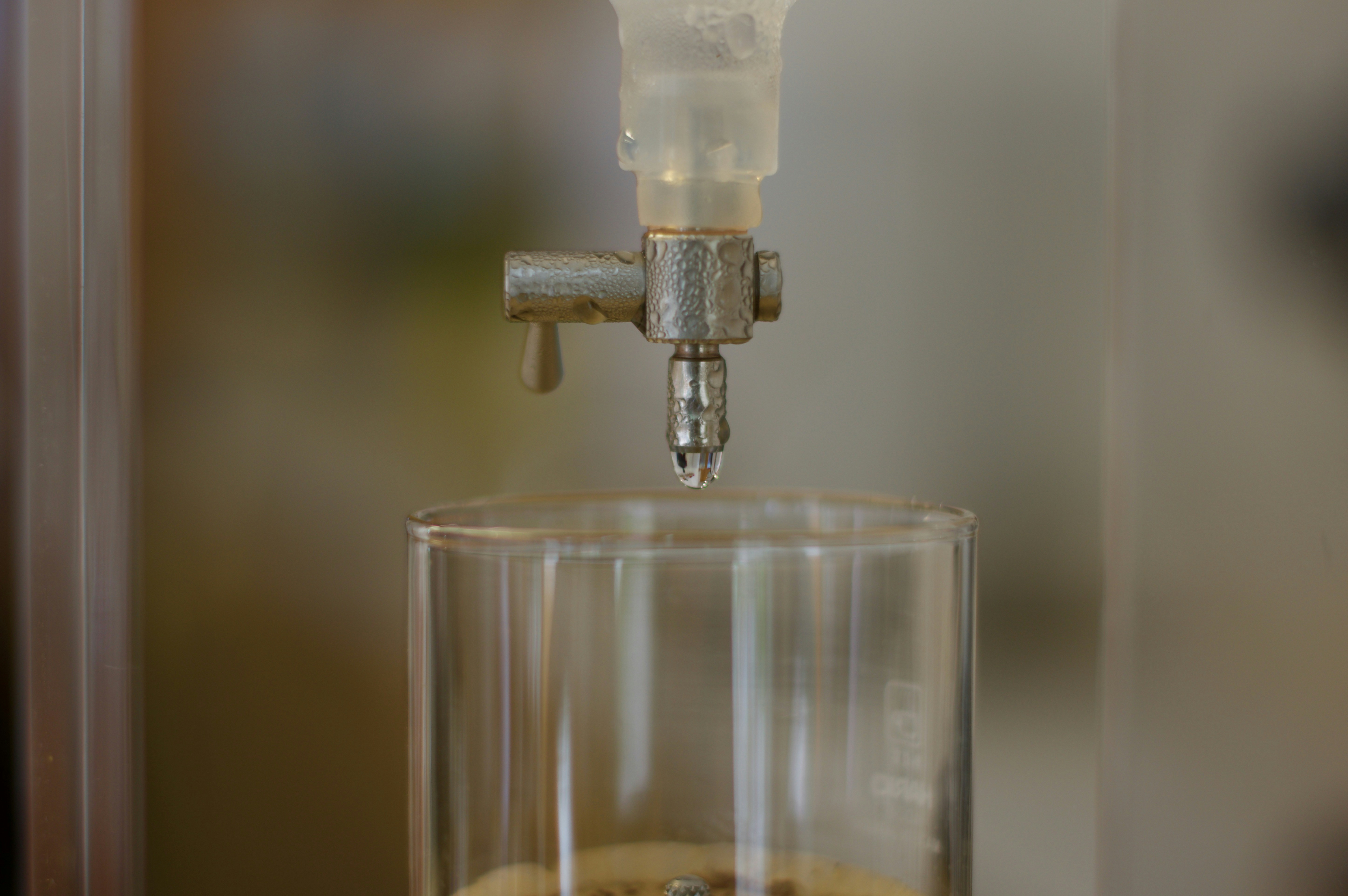 Bio-Based Chemicals: Sustainable Alternatives, Environmental Benefits and Market Opportunities