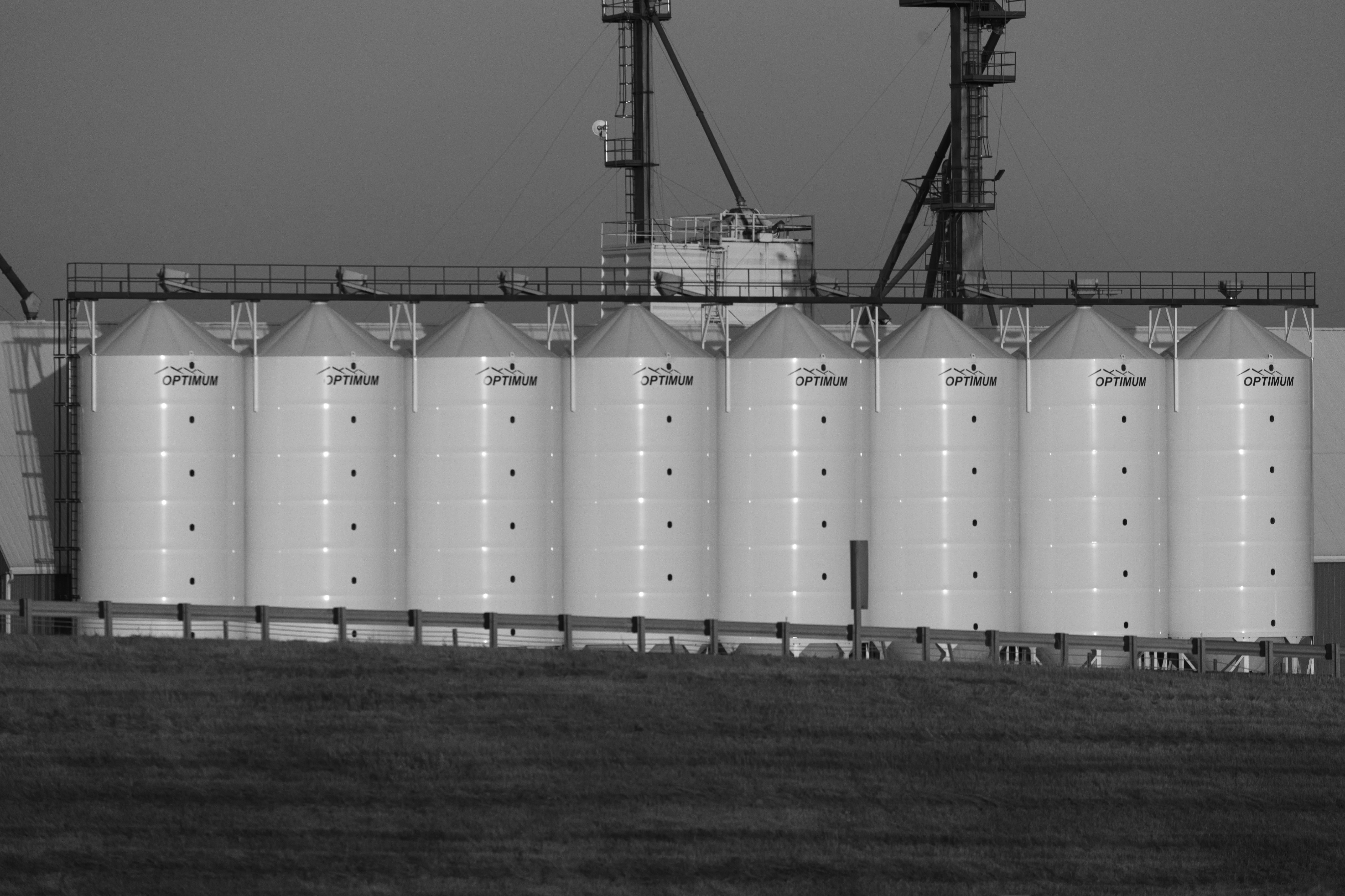 Managing Inventory in a Volatile Market: Lessons from the 2026 Price Spike and Retreat